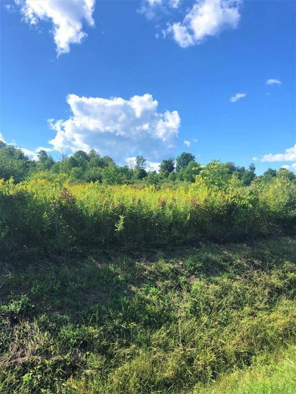 0 Demunn Road Lot 3  Beaver Dams NY 14812 photo