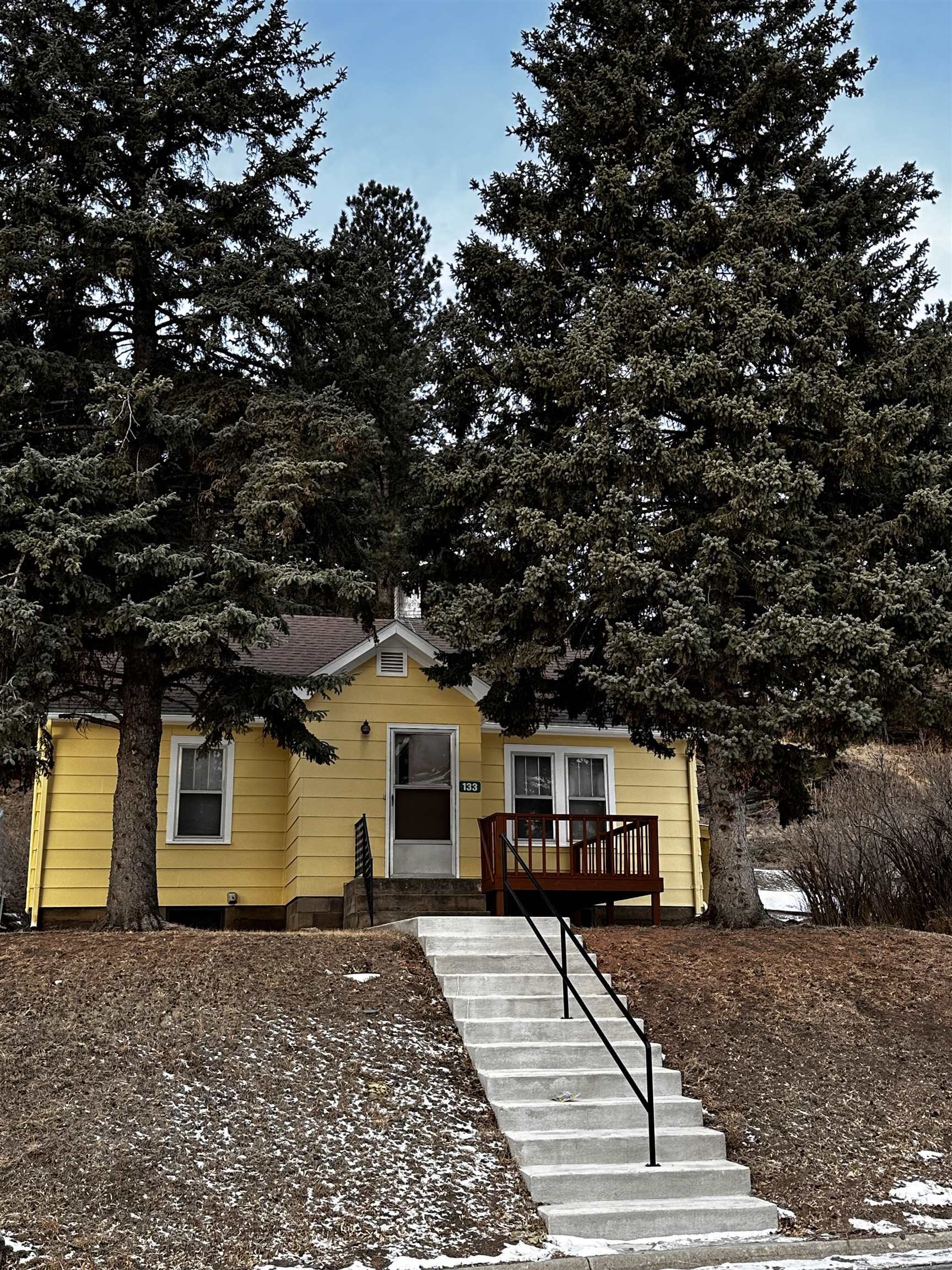 Property Photo:  133 Pine Avenue  SD 57745 