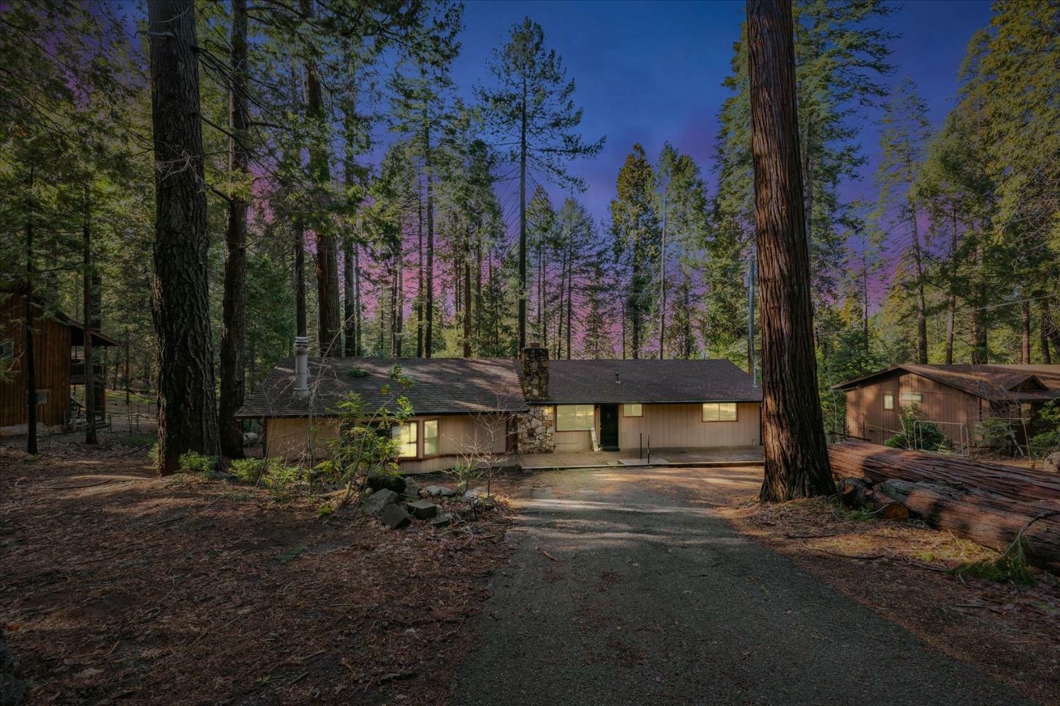 2900 Shady Lane  Pollock Pines CA 95726 photo