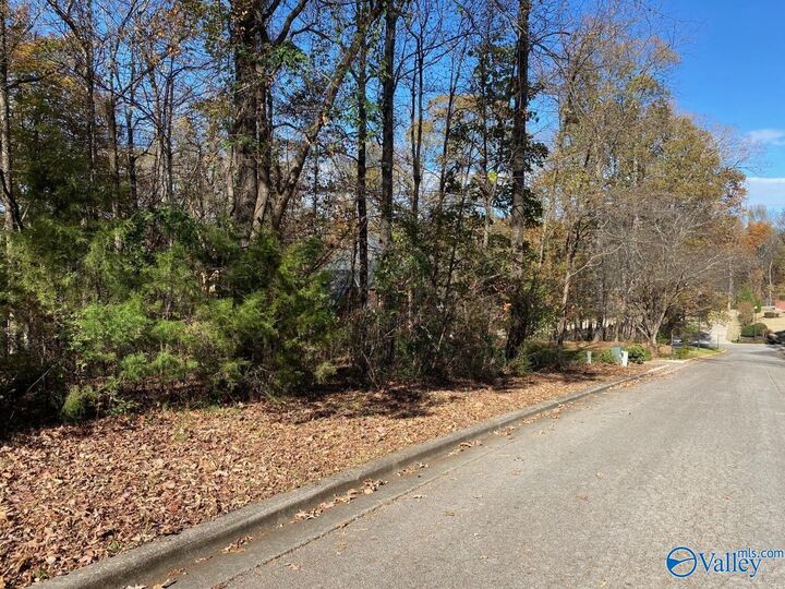 Property Photo:  103 Oak Shadow Street  AL 35653 