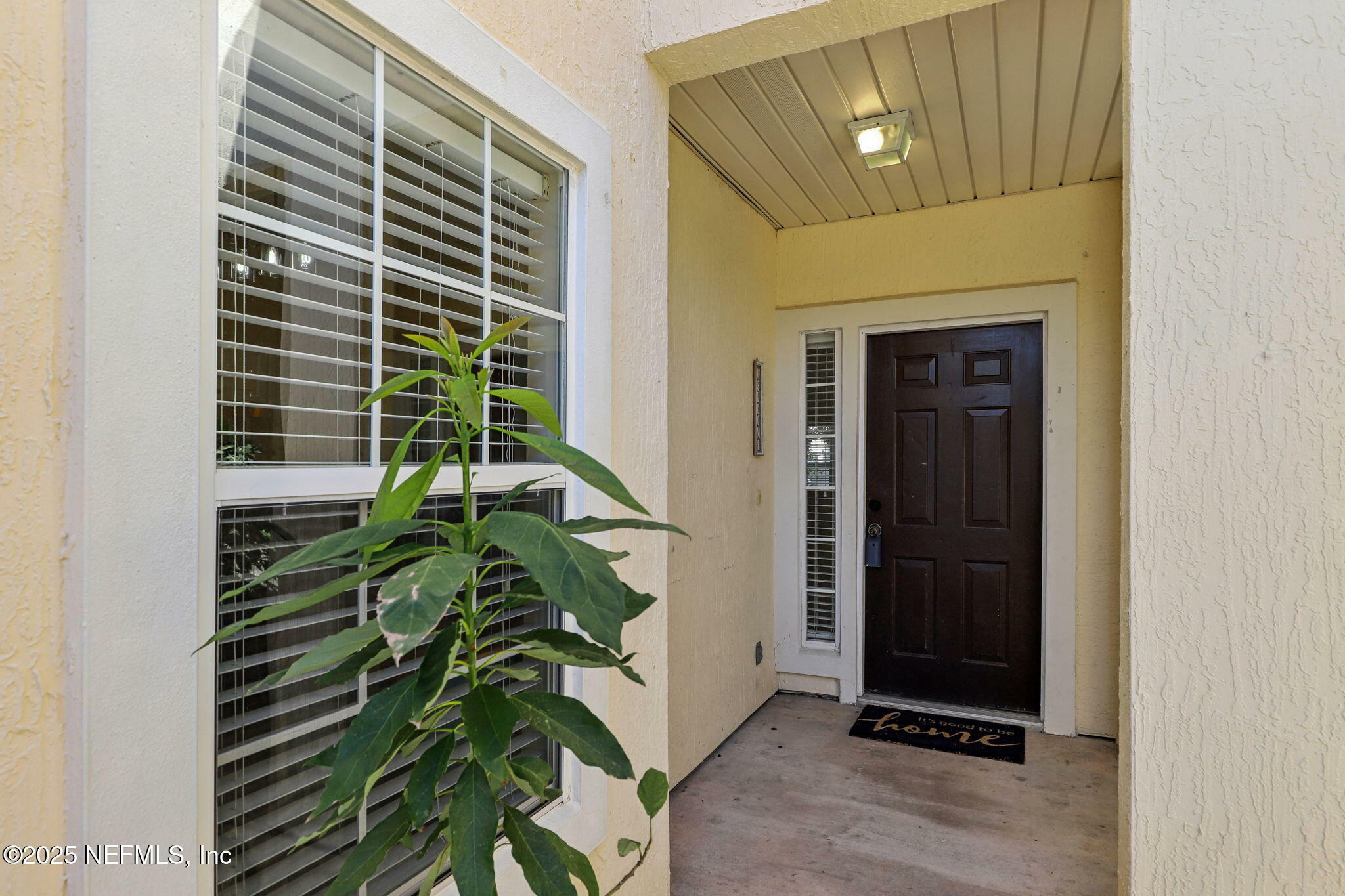 Property Photo:  861 Southern Creek Drive  FL 32259 