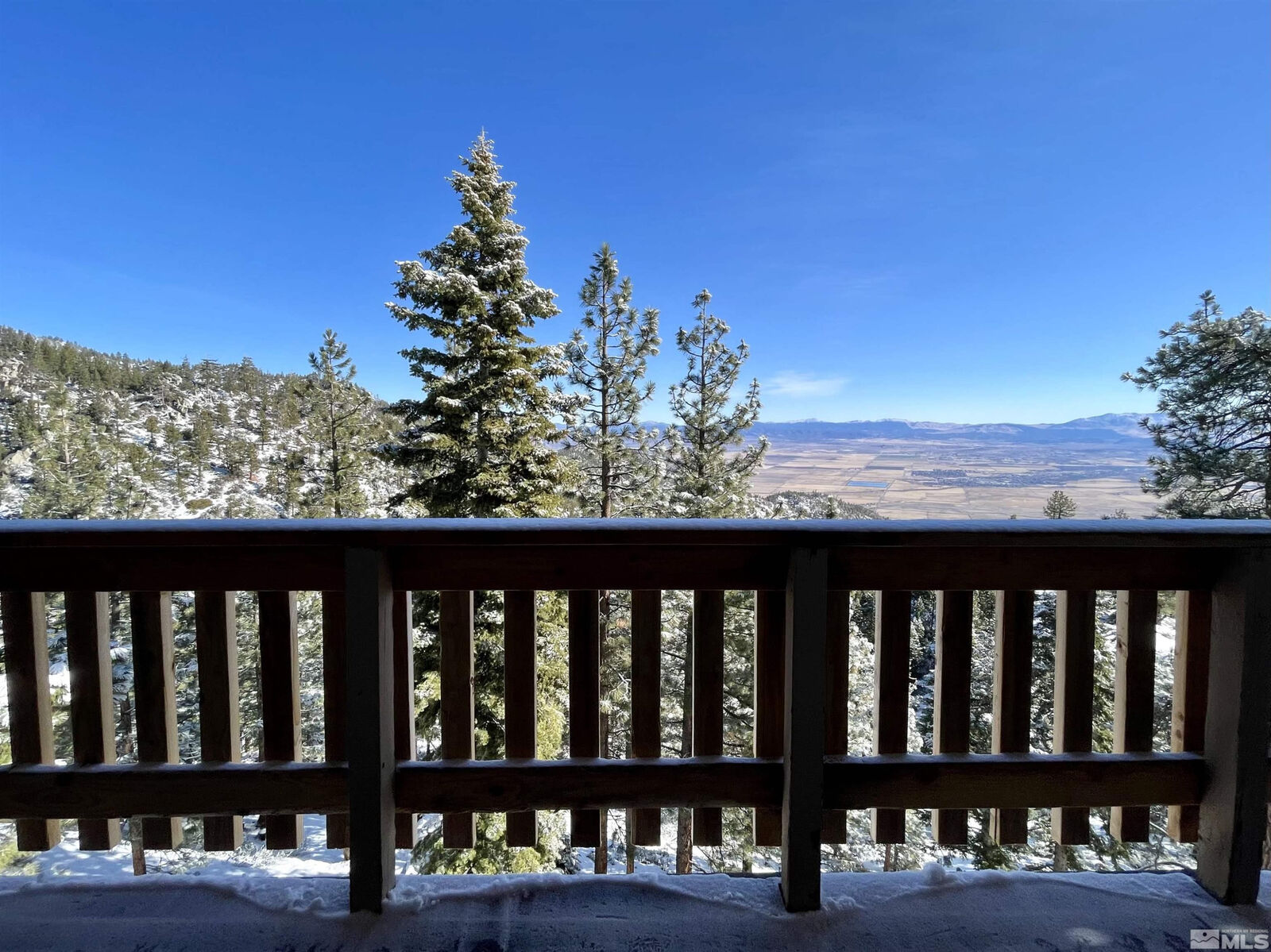 Property Photo:  261 Quaking Aspen Lane  NV 89449 