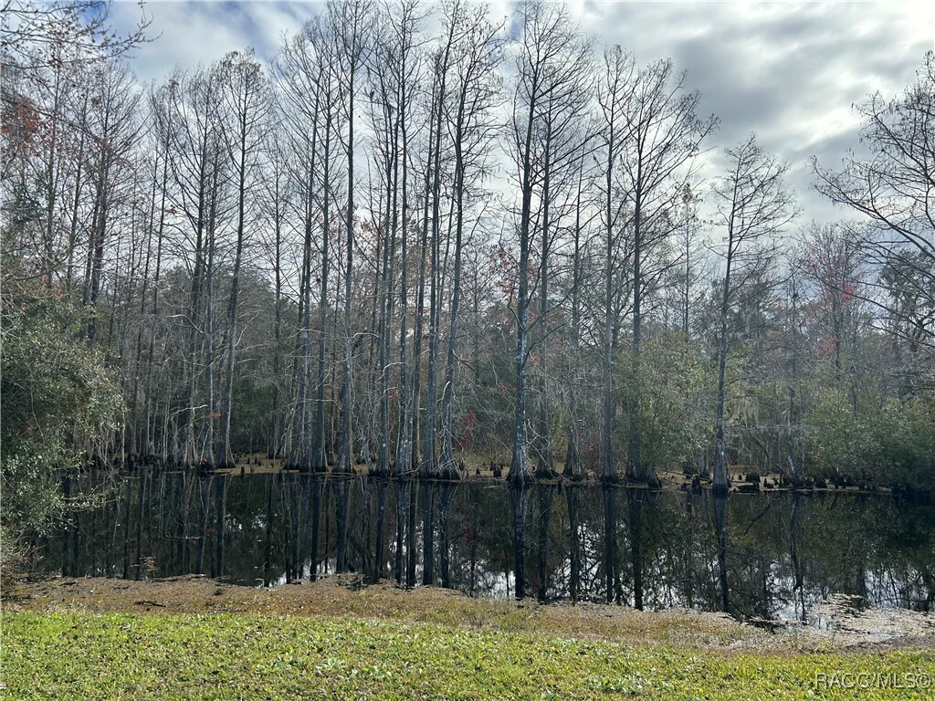 Property Photo: 10494 E Gobbler Drive FL 34436