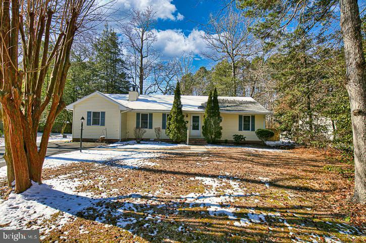 600 Forest Drive  Fruitland MD 21826 photo