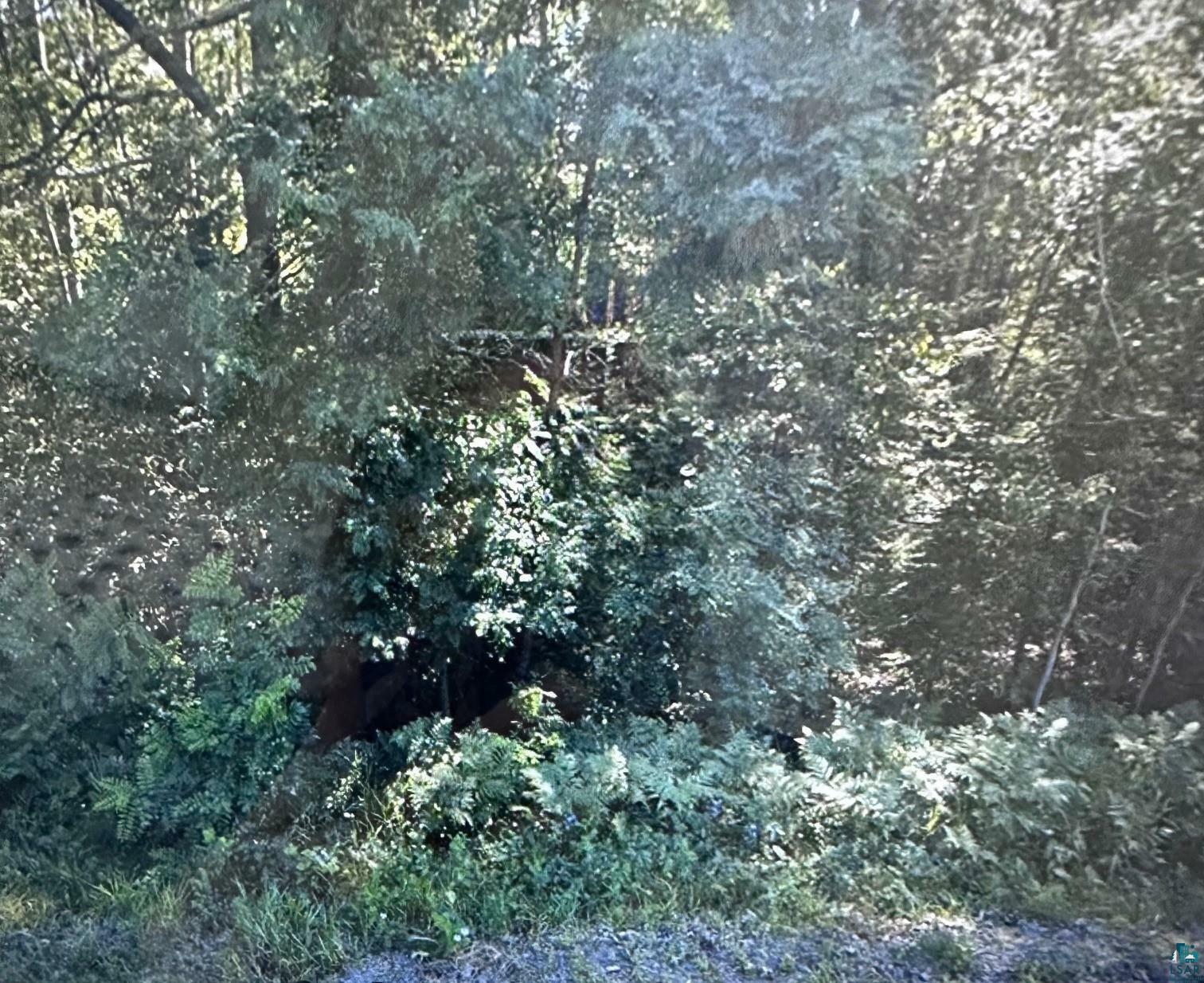 74xxx S Hallberg Rd  Lake Nebagamon WI 54849-8600 photo