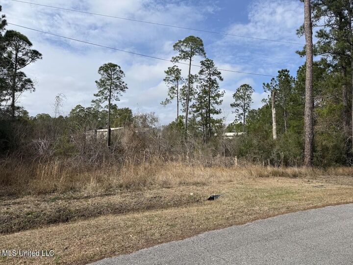 River Dr / Cooper St  Waveland MS 39576 photo