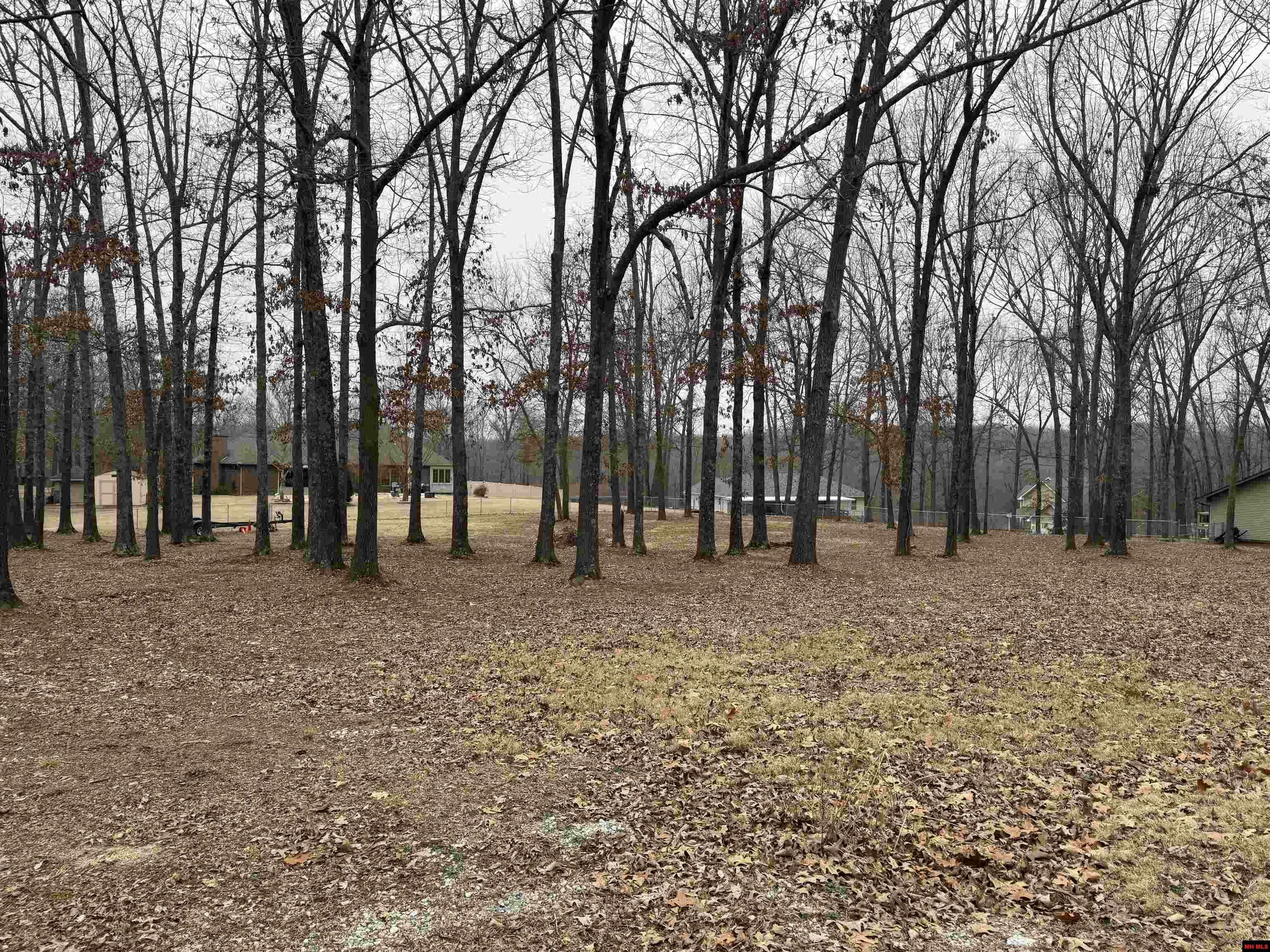 Property Photo: Lot 46 Aspen Drive AR 72653