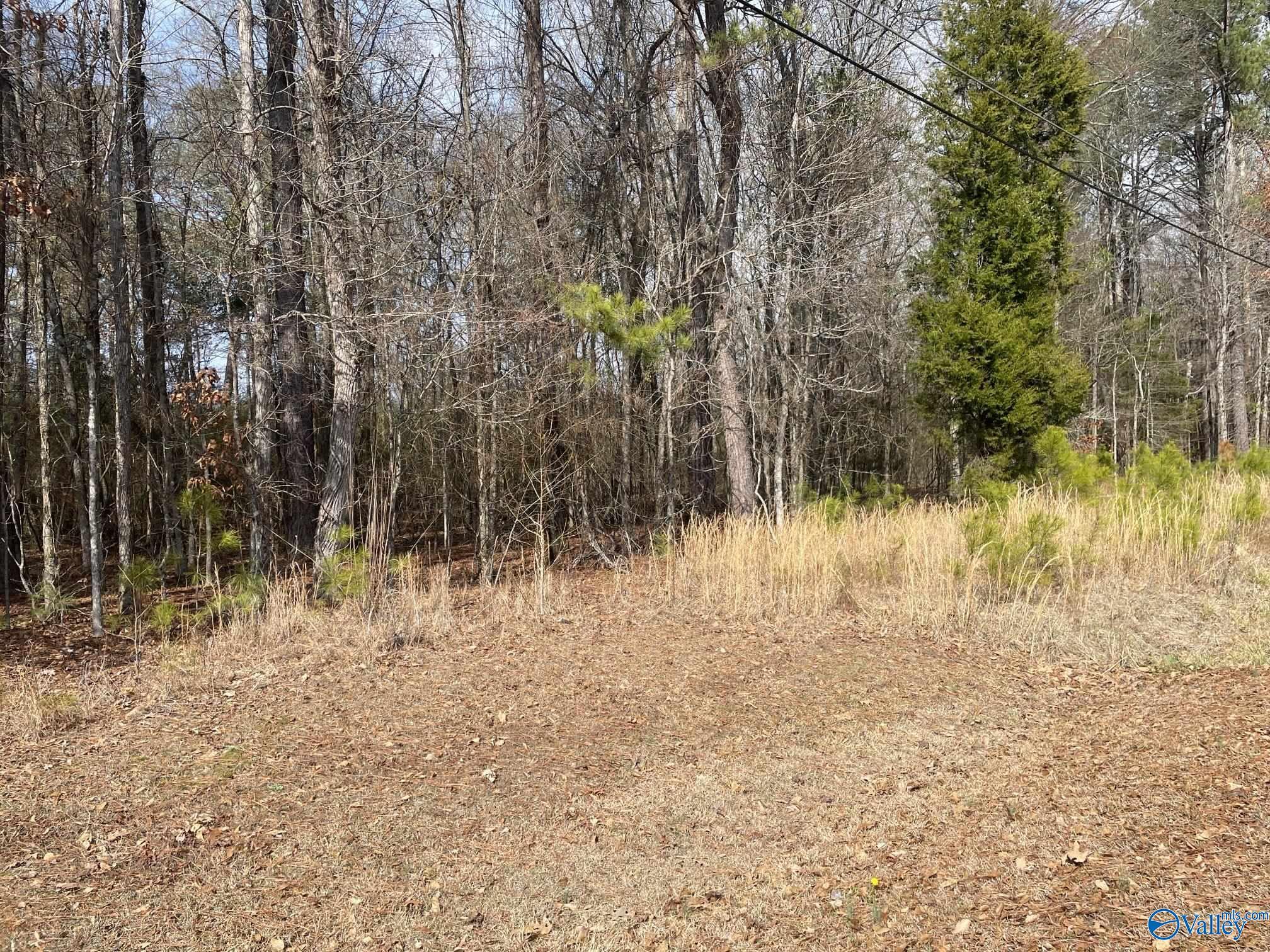Lot 4 Indian Lake Drive  Rainbow City AL 35906 photo