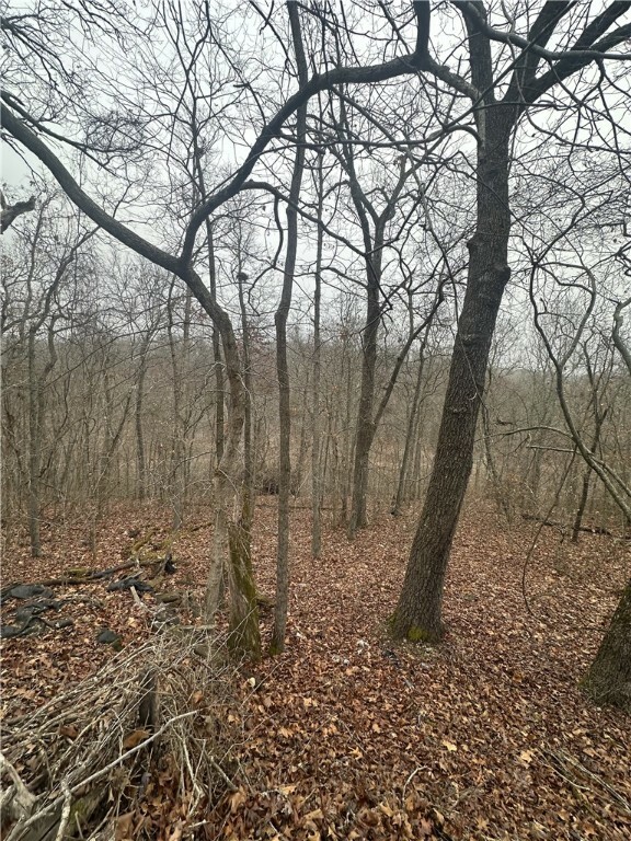 Property Photo:  Lot 30, Block 2 Falcon Lane  AR 72714 