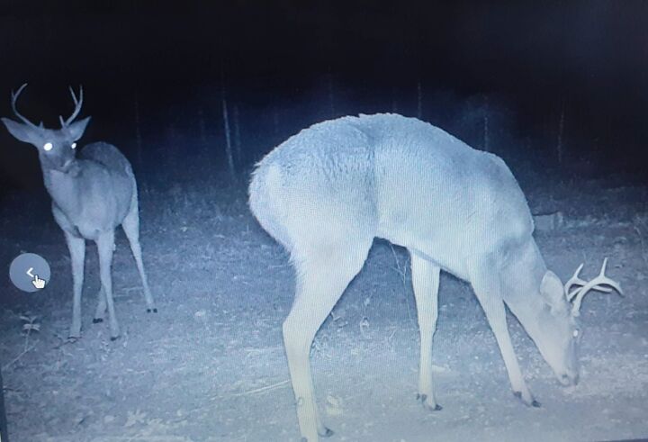 Property Photo:  Vacant 20 Ac SE Parliament Trail  FL 32059 