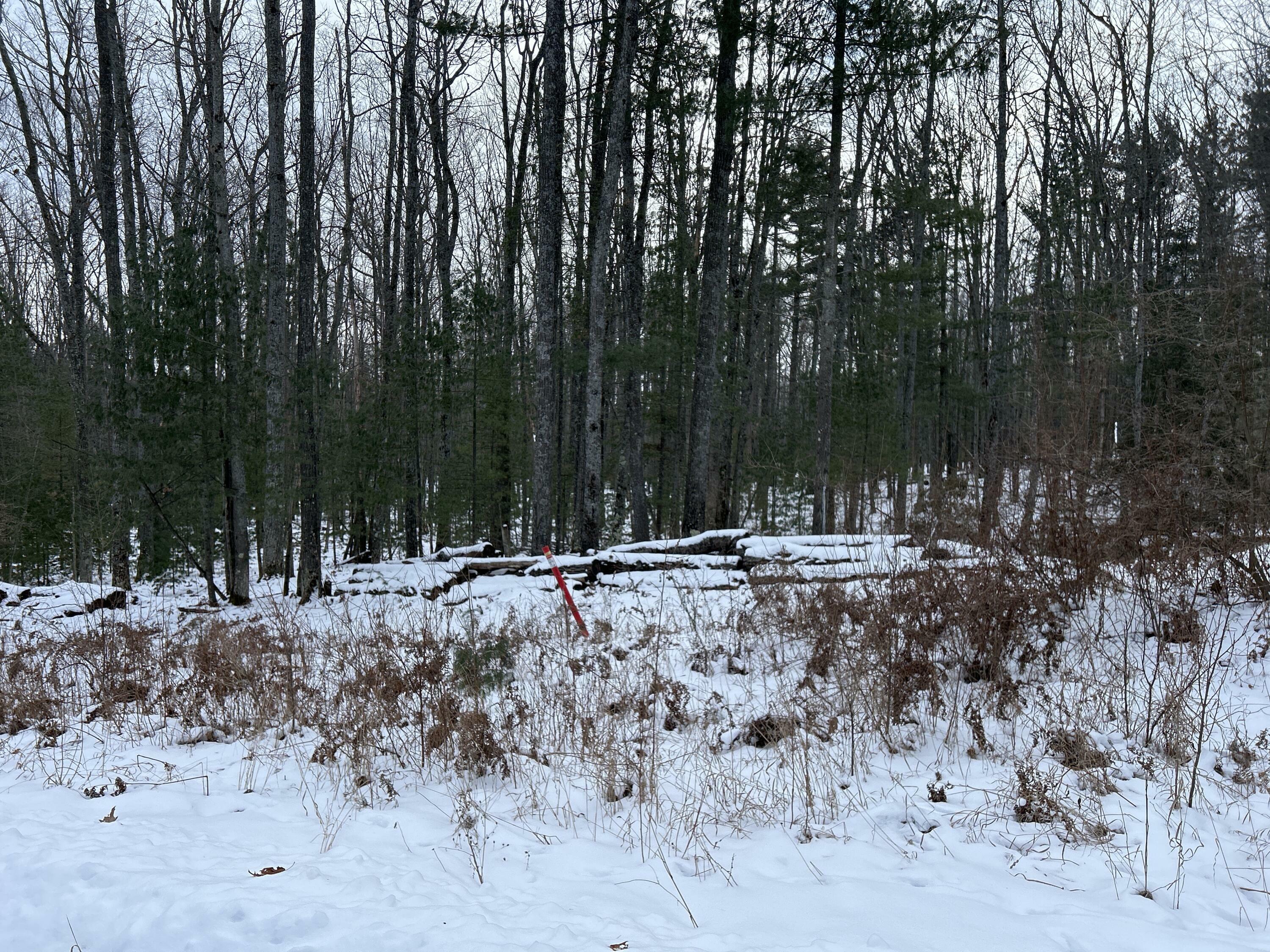 551 Robin Hood Drive  Hubbard Lake MI 49747 photo