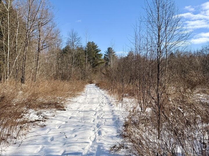 Property Photo:  0 Soper Street  NY 12962 