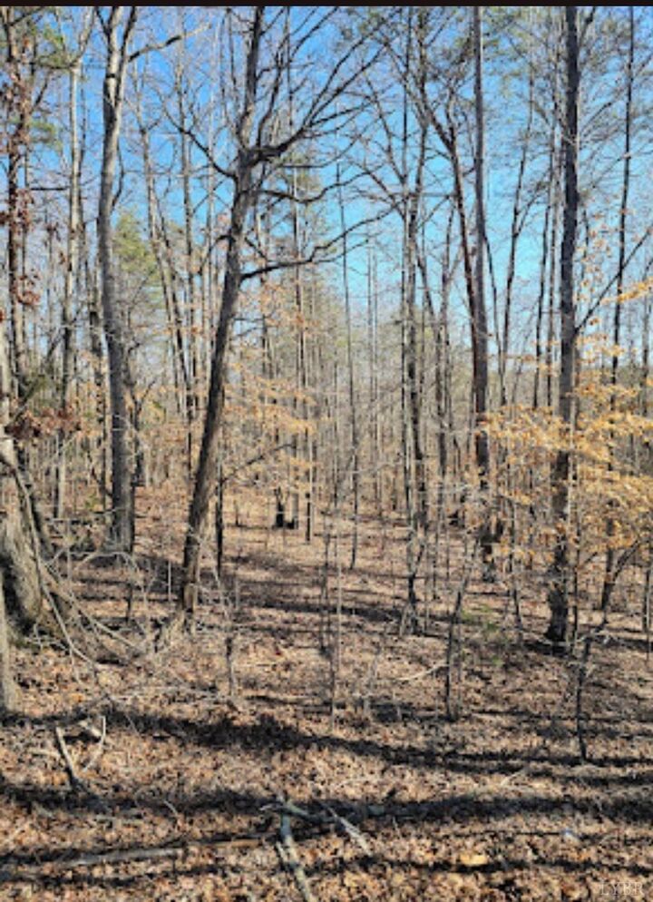 Property Photo:  0 Red Oak Road  VA 24112 