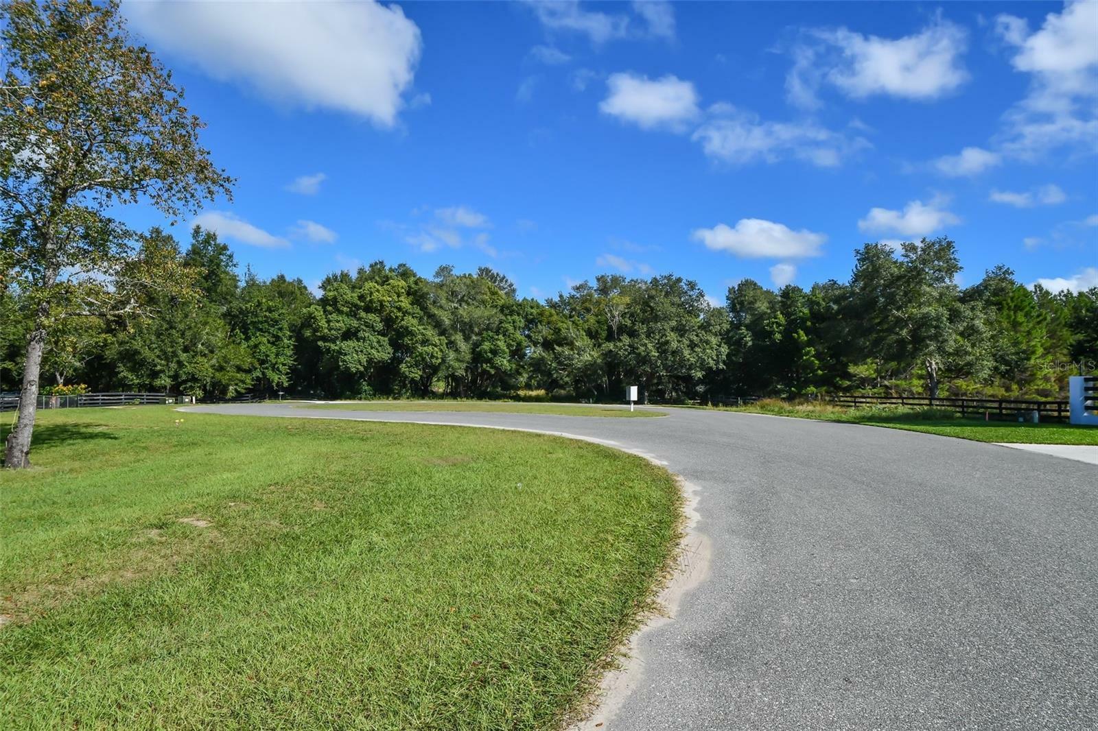 Property Photo:  Tree Frog Lane  FL 32736 