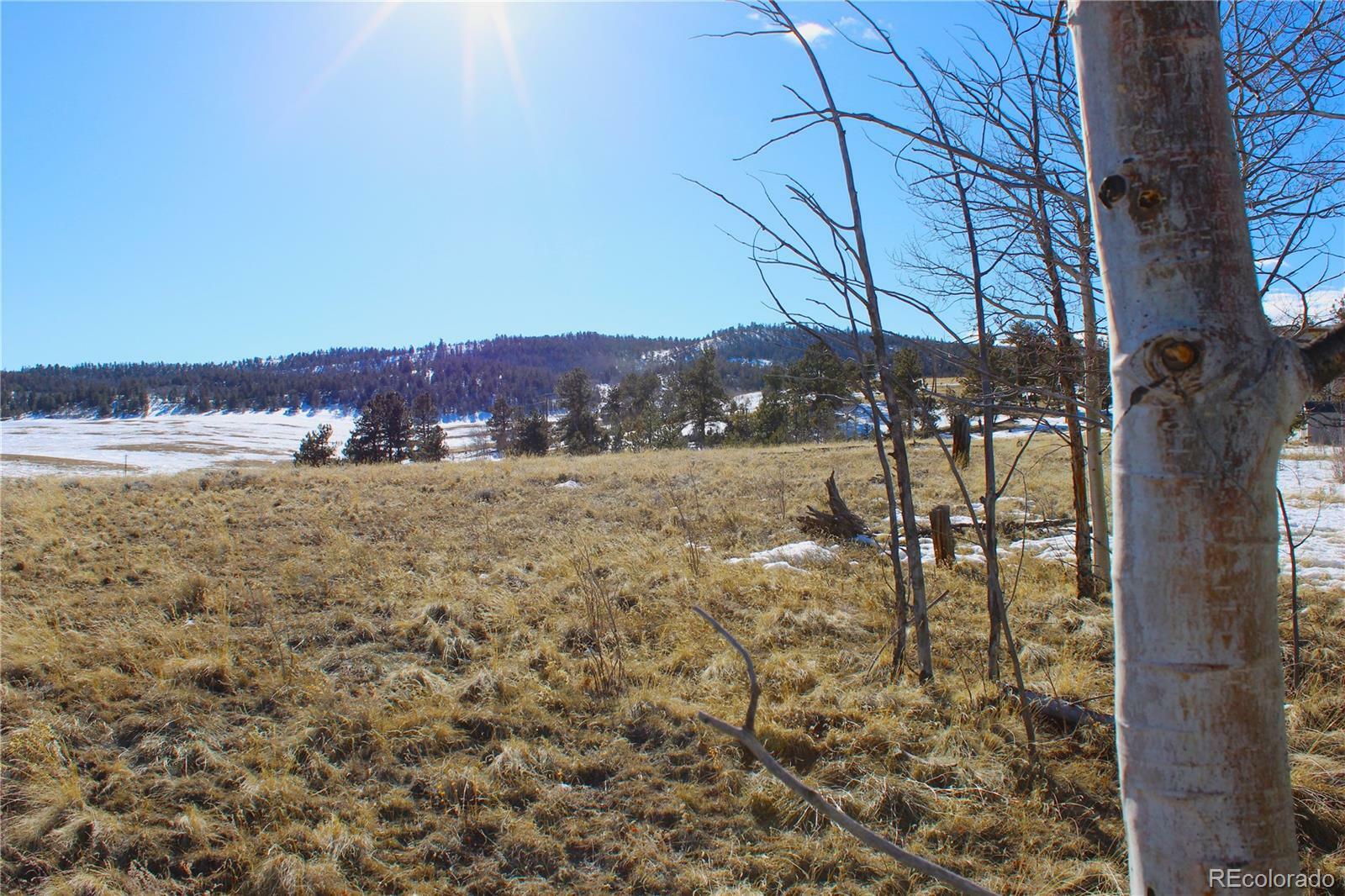 Property Photo:  11162 Ranch Road  CO 80449 