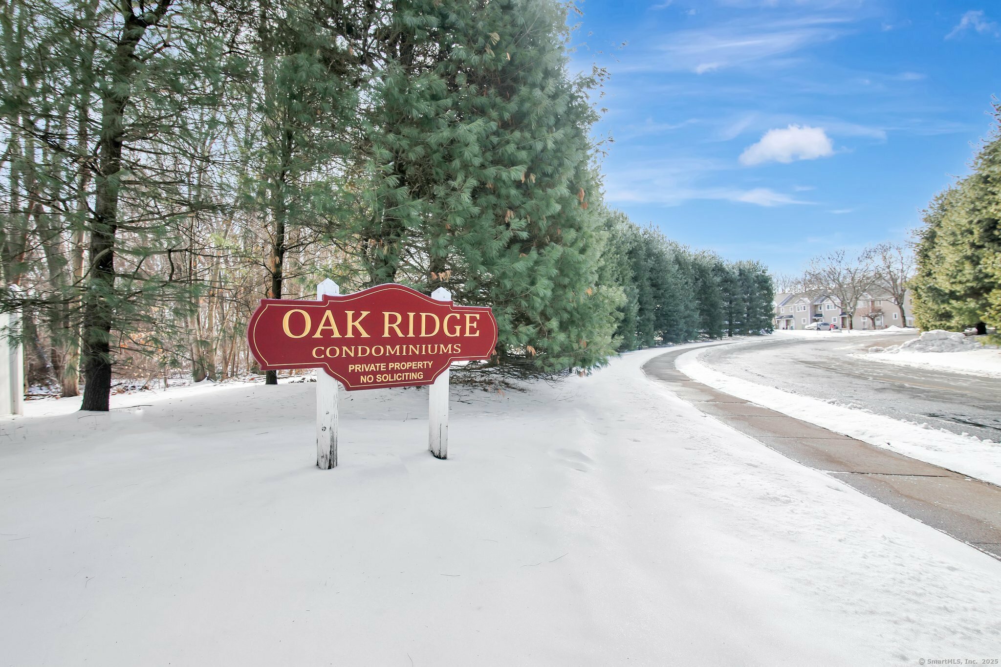 Property Photo:  94 Oak Ridge Drive 94  CT 06096 