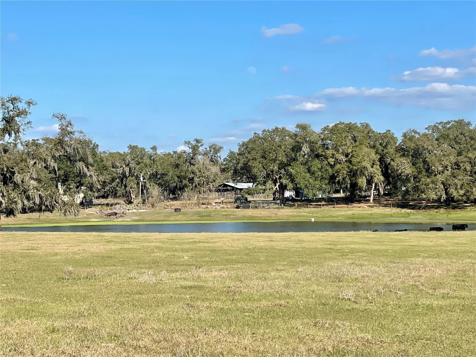 Property Photo: Tbd SE 155 Avenue FL 32195