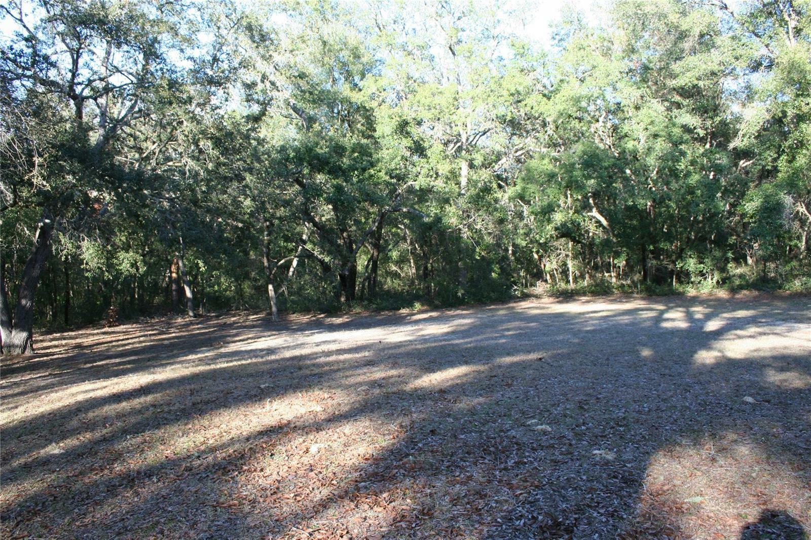 Property Photo:  1155 E Bismark Street  FL 34442 