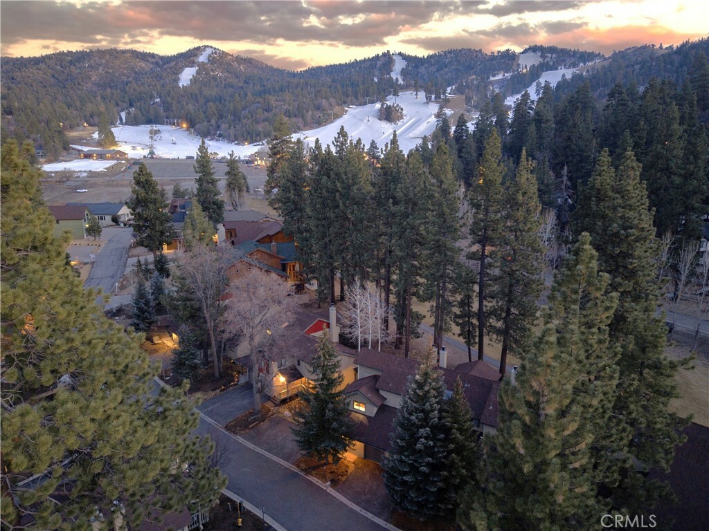 Property Photo:  1187 Bear Meadows Lane  CA 92315 