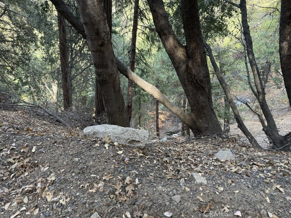 Property Photo:  0 Mojave River Road  CA 92322 