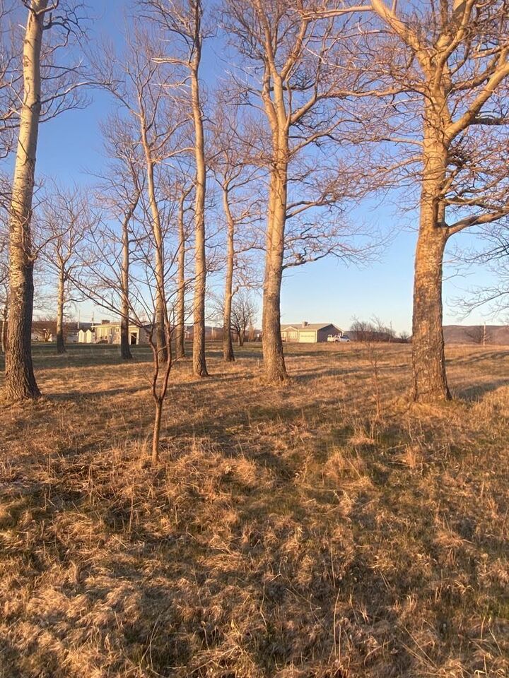 Property Photo:  Lot 5 Cabot Trail  NS B0E 1H0 