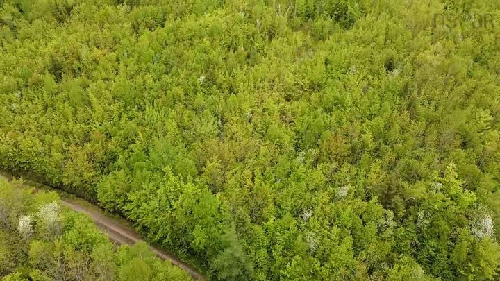 Property Photo:  Lot 6 West Side Ainslie Glen Road  NS B0E 3M0 