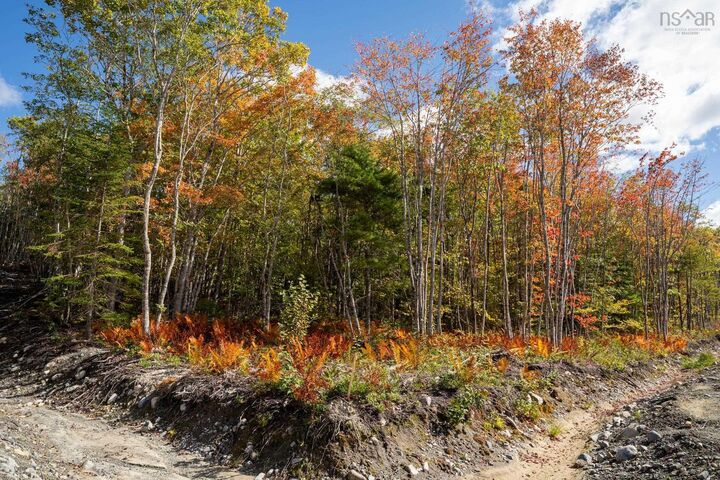 89 Morton Drive — photo 1