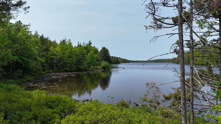 Property Photo:  Lot 4 Nathan Croft Road Camperdown Meadows  NS B4V 6T9 