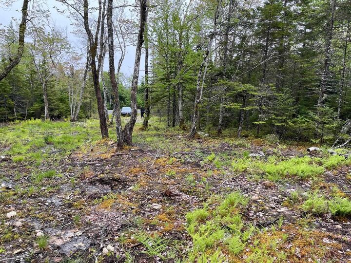 Property Photo:  Lot 1A-81 Maple Drive  NS B0E 3B0 