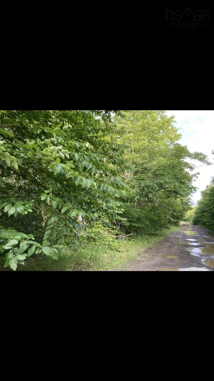 Property Photo:  Simons Rd.  NS B0H 1P0 