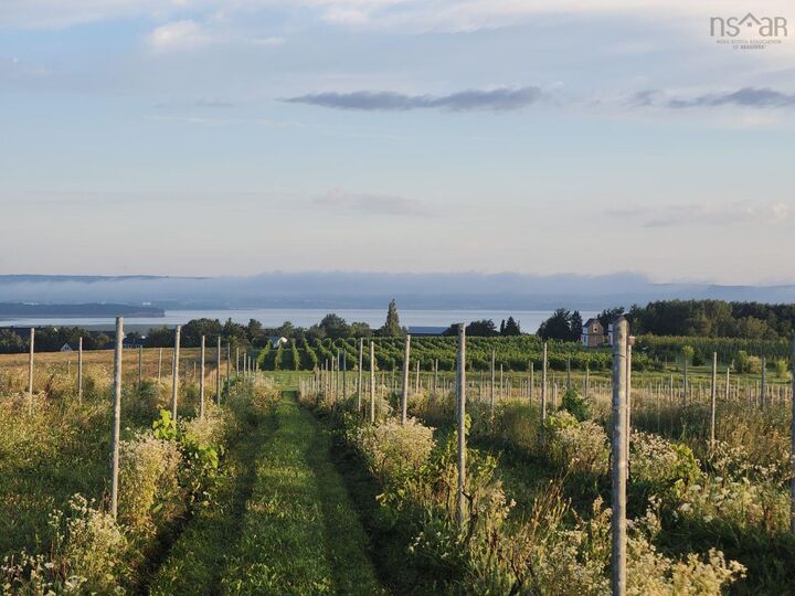 Property Photo:  Lot 2024 Maple Ridge Road  NS B4P 2R1 
