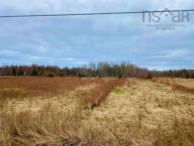 Property Photo:  Lot 99 North Shore Road  NS B0K 1E0 