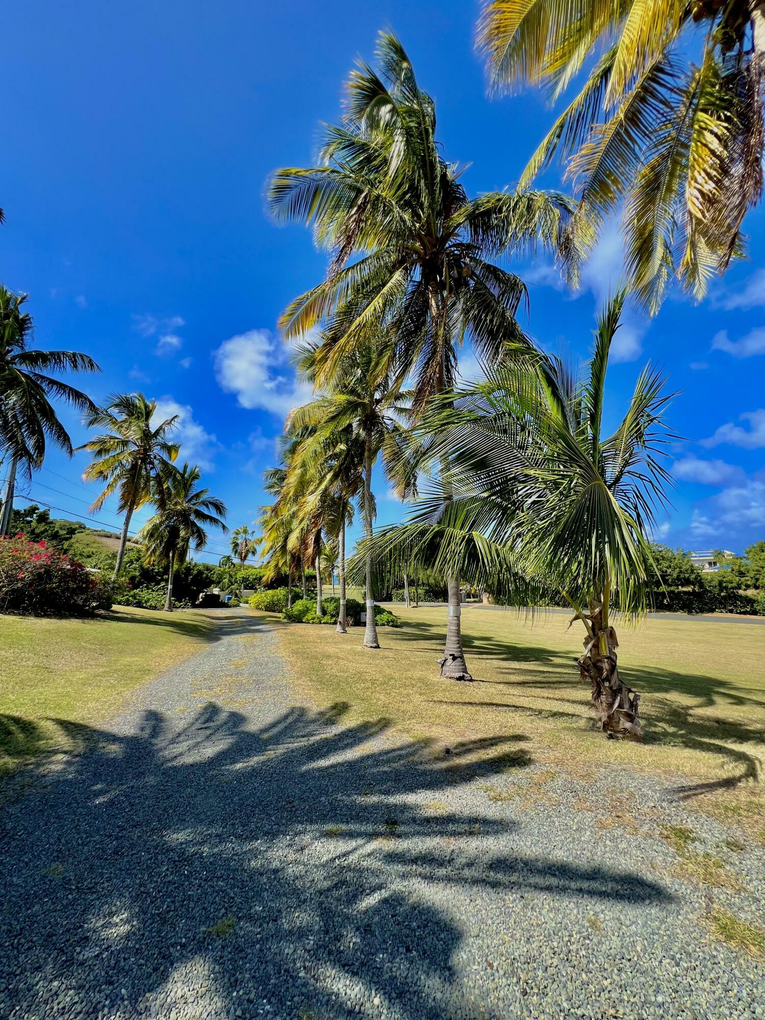 Property Photo: 172 Annas Hope Ea VI 00820
