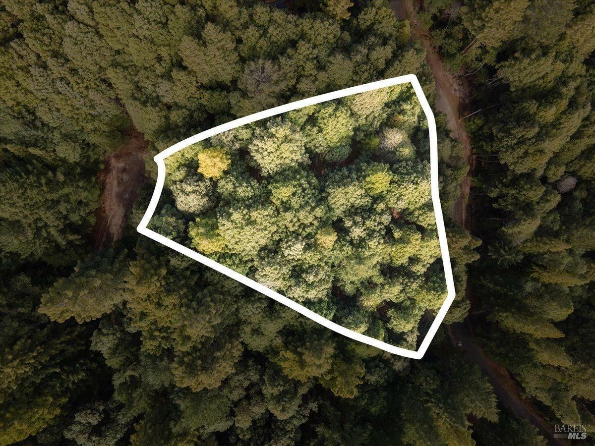 27303 Bear Circle  Willits CA 95490 photo