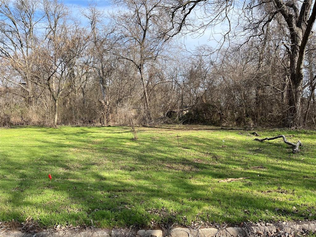 Property Photo: Lot 2 E Garrett Street TX 75460