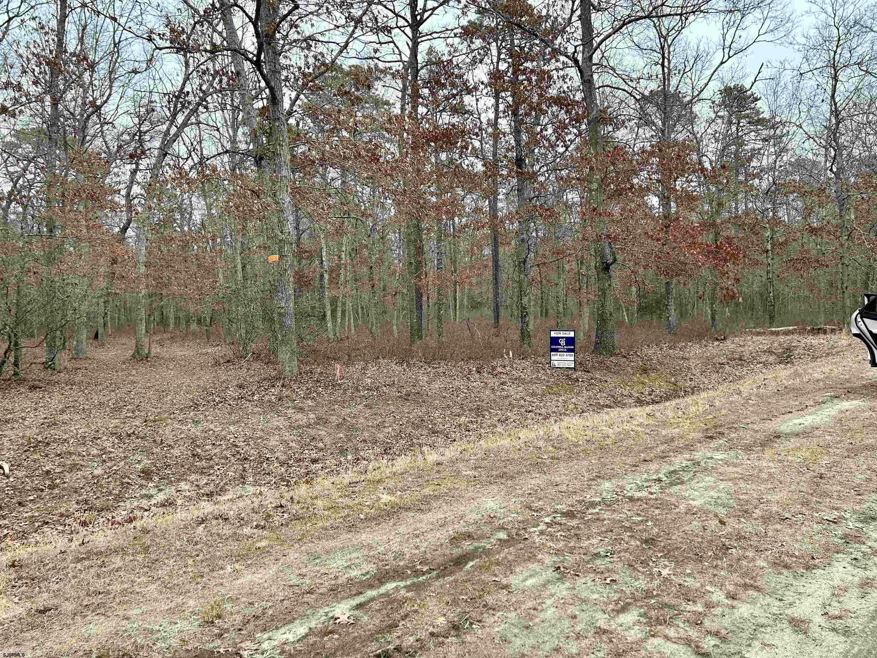 Property Photo: Pine Street Block 854, Lot 18 NJ 08330