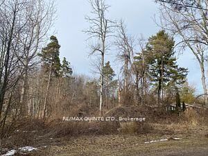 Property Photo:  149 Evergreen Lane  ON K0K 1H0 