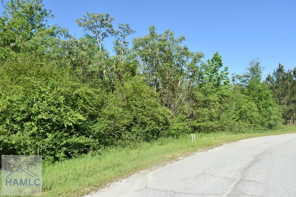 Property Photo: Lot 27 Chestnut Lane GA 30425