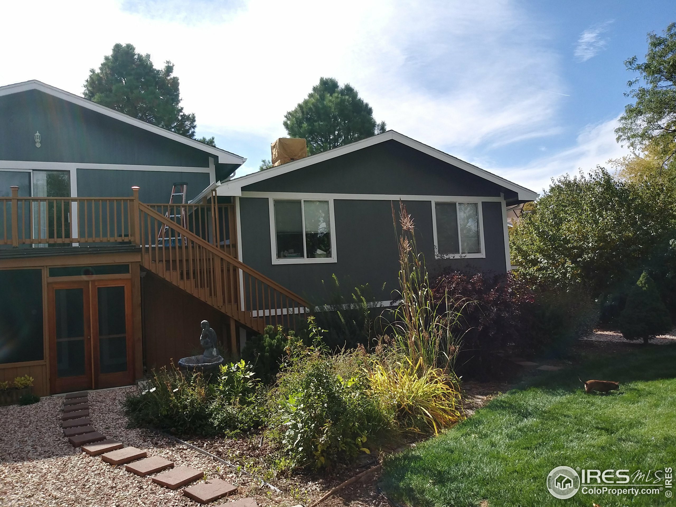 Property Photo:  309 W 51st St  CO 80538 