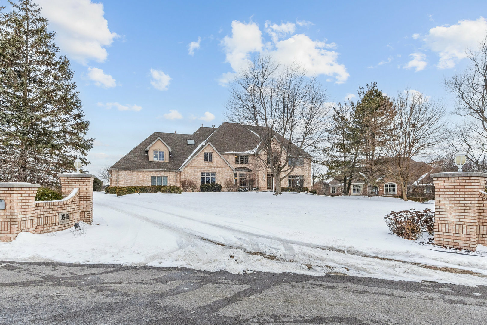 10848 Crystal Ridge Court  Orland Park IL 60467 photo