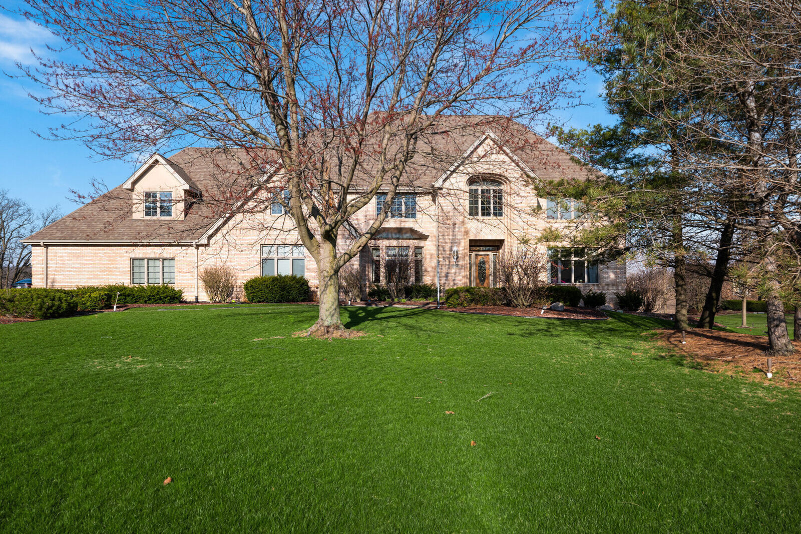 Property Photo:  10848 Crystal Ridge Court  IL 60467 