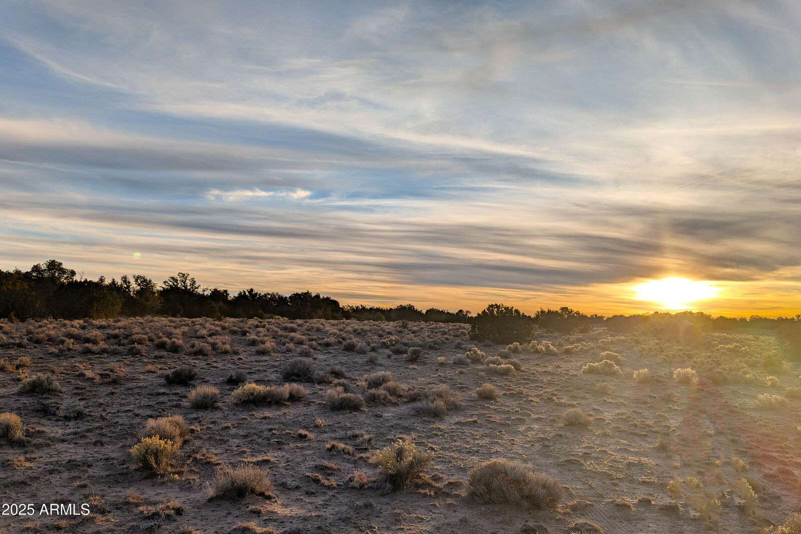 Property Photo:  Lot 78 Witch Well Ranches -- 78  AZ 85936 