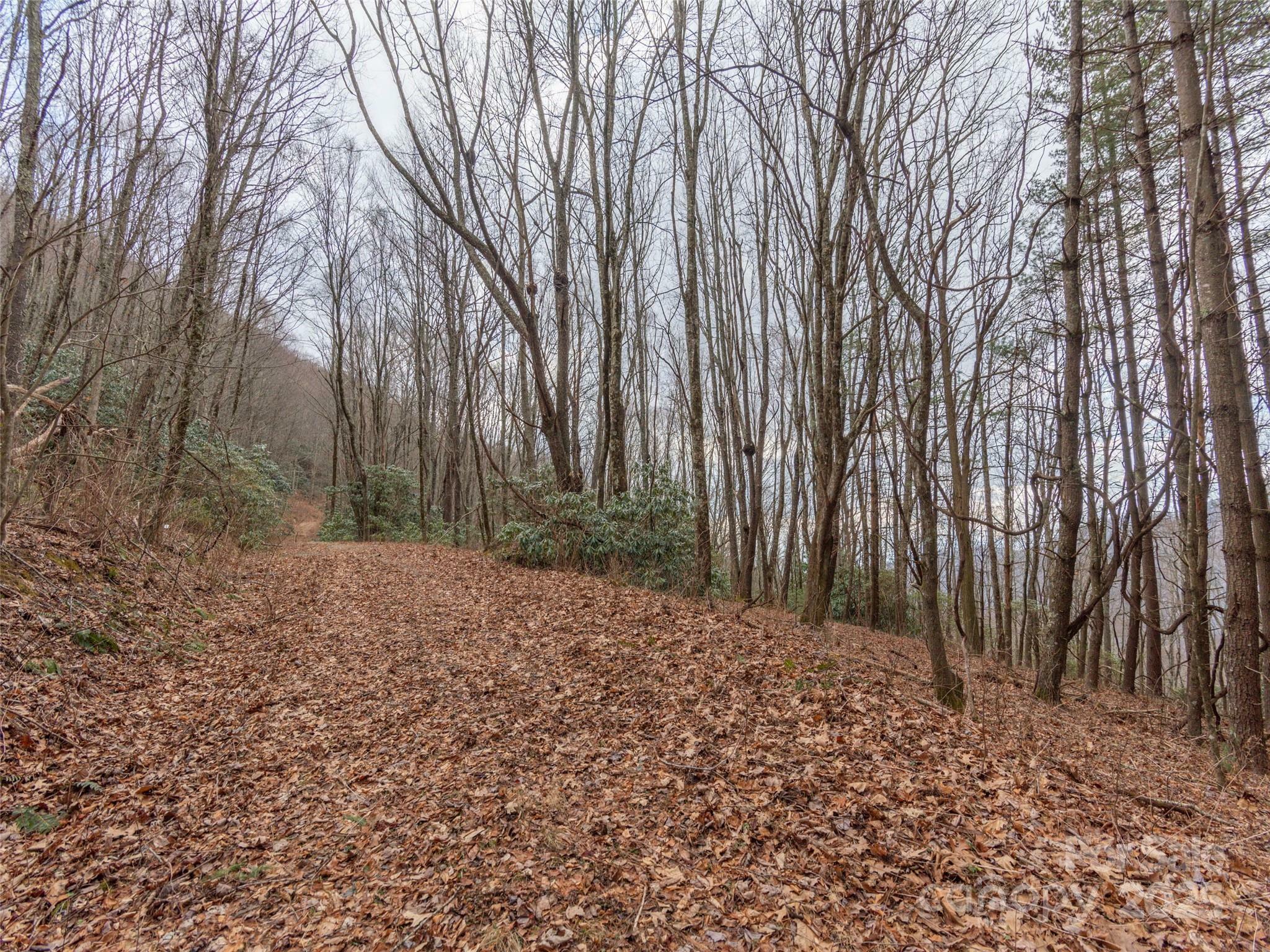 Property Photo:  00 Bald Creek Road  NC 28721 