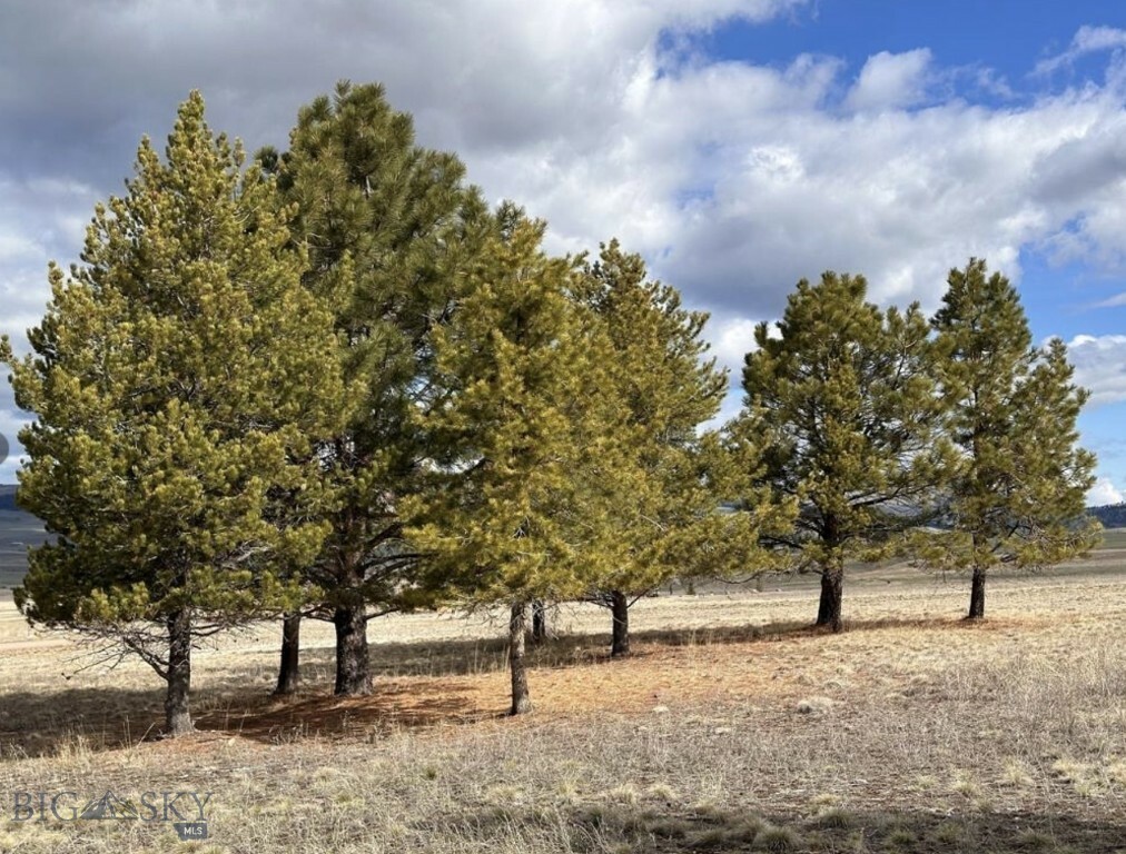 Property Photo:  Tract 60 Whiskey Flats  MT 59858 