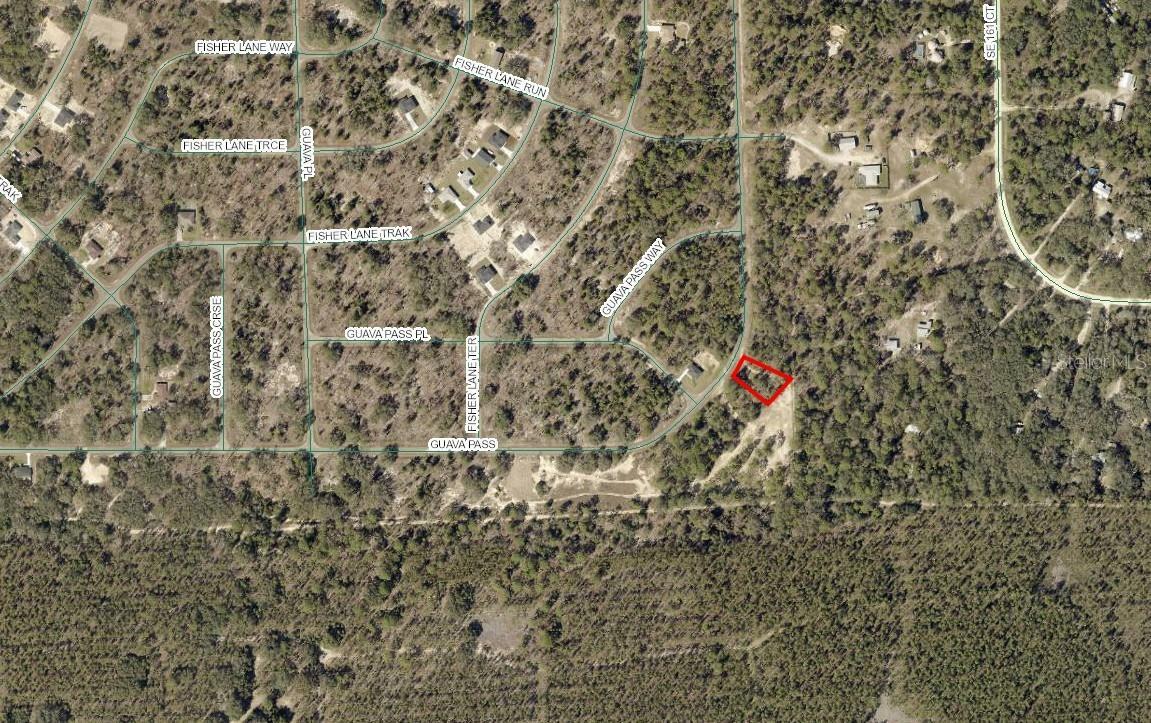 Property Photo:  164 Guava Pass  FL 32179 