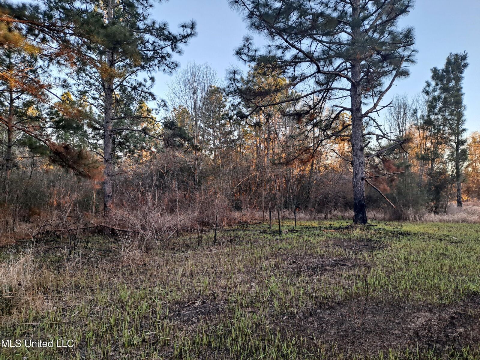 Property Photo:  Tannertown Road  MS 39452 