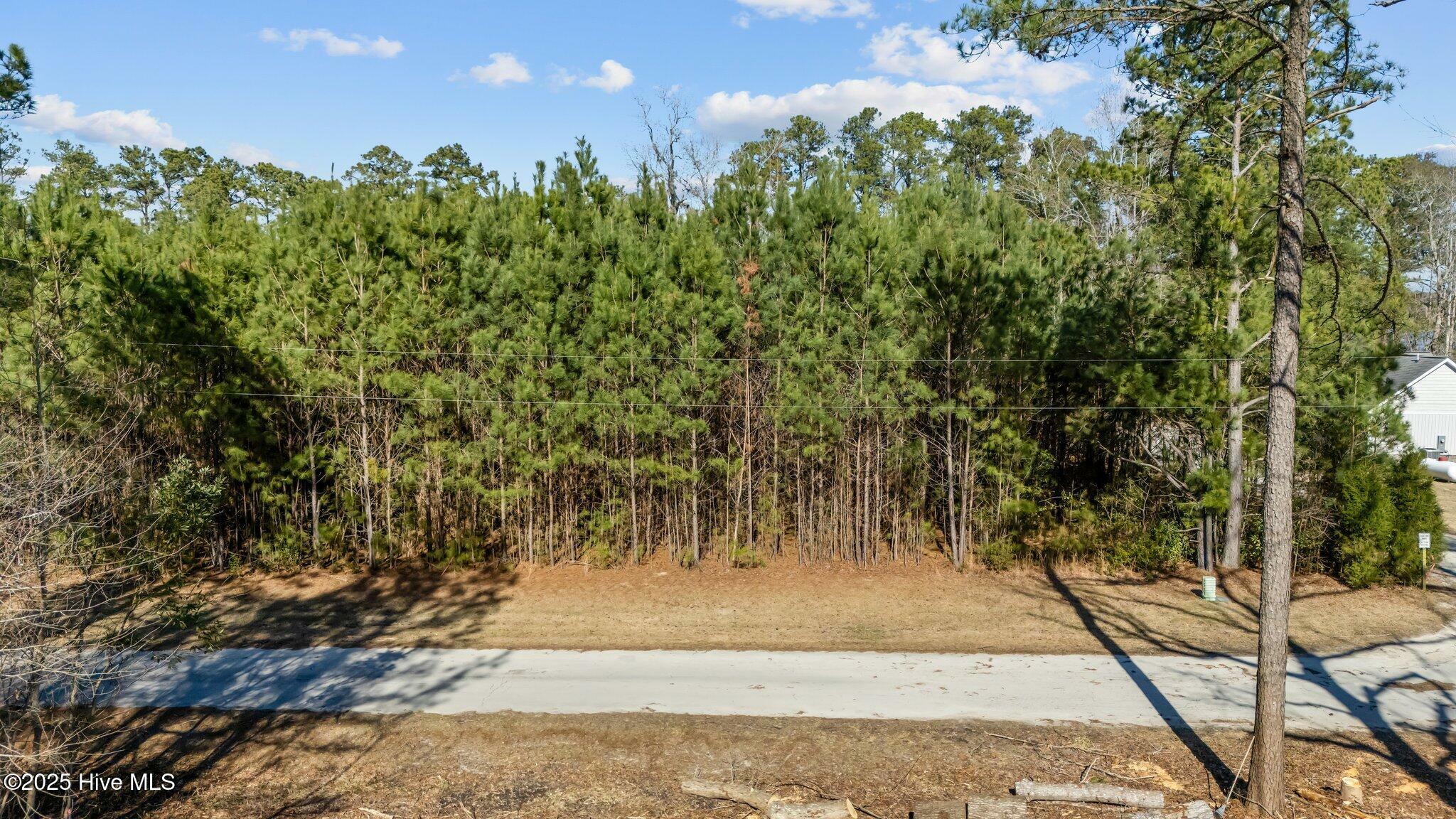 0 Long Point Landing Road  Chocowinity NC 27817 photo