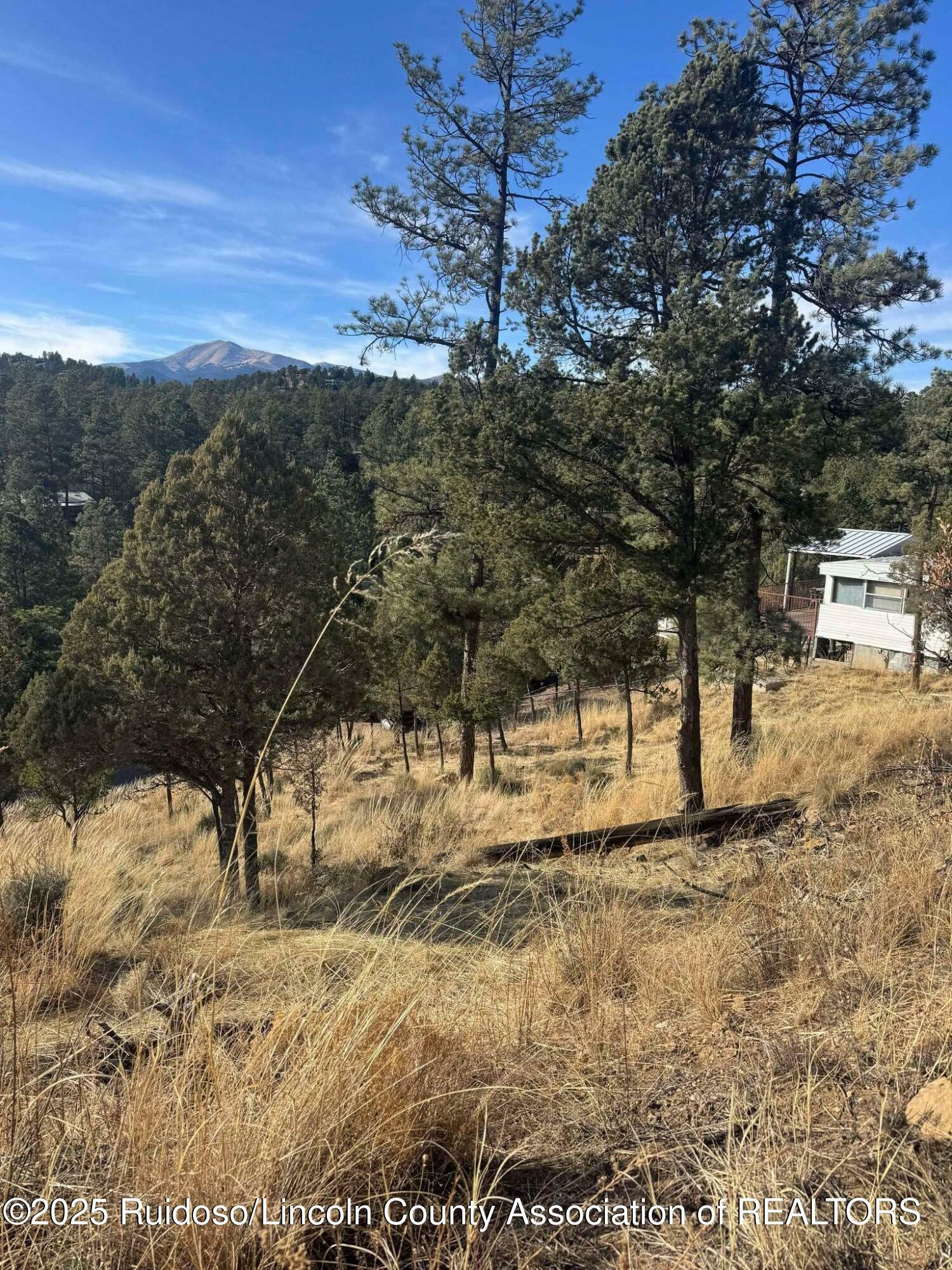 Property Photo:  110 Rockmount Drive  NM 88345 