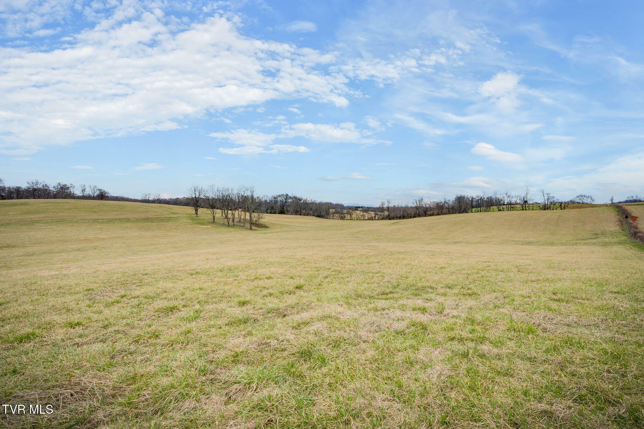 Property Photo:  Tbd Ducktown Road  TN 37681 