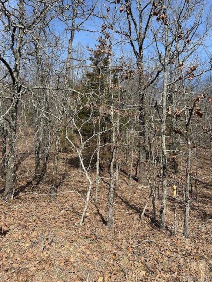 Property Photo:  Lot 27 Saltillo Heights  AR 72032 